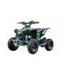 Mini quad atv3