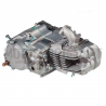 Motor completo pitbike daytona anima 190fdx