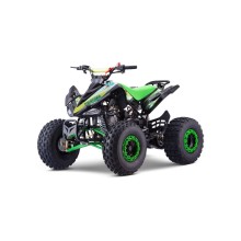 QUAD 110CC AUTOMÁTICO ROAN PANTERA R8