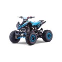 QUAD 110CC AUTOMÁTICO ROAN PANTERA R8