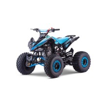 QUAD 110CC AUTOMÁTICO ROAN PANTERA R8