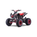 QUAD 110CC AUTOMÁTICO ROAN PANTERA R8