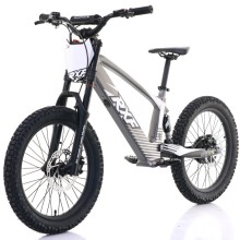 BICICLETA ELECTRICA SIN PEDALES 750W 20" RXF EVO RACING