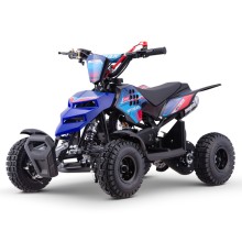 Miniquad ROAN RAPTOR 49cc (R4")