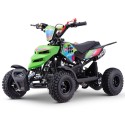 Miniquad ROAN RAPTOR 49cc (R4")