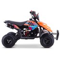 Miniquad ROAN RAPTOR 49cc (R4")