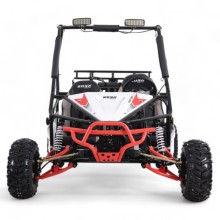 BUGGY 125CC ROAN TRITON BIPLAZA R7