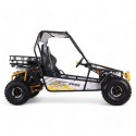 BUGGY TRITON 200 R8