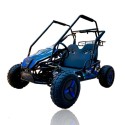 Buggy eléctrico 1500W 60V 20Ah para niño