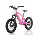 Bicicleta electrica infantil 350W 16" Roan RXF Evo-S