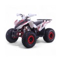 Quad 125CC Roan Coyote Automático R8 D-N-R arranque eléctrico