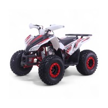 Quad 125CC Roan Coyote Automático R8 D-N-R arranque eléctrico