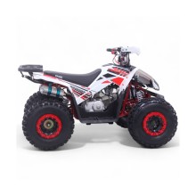 Quad 125CC Roan Coyote Automático R8 D-N-R arranque eléctrico