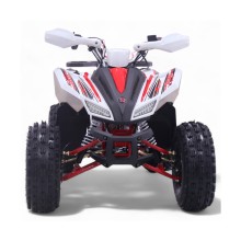 Quad 125CC Roan Coyote Automático R8 D-N-R arranque eléctrico