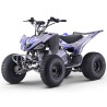 Quad eléctrico 1500W Dakar Roan R8 Brushless