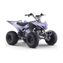 Quad eléctrico 1500W Dakar Roan R8 Brushless