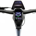 Patinete eléctrico smartGyro Raptor Dual Evo LR