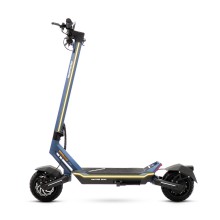 Patinete eléctrico smartGyro Raptor Dual Evo LR