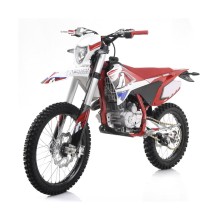 Pit Bike Apollo Thunder 300cc 21/18" faro e intermitente