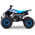 QUAD 110CC AUTOMÁTICO ROAN PANTERA R8 - TECONOLOGIA DEL VALLE