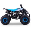 QUAD 110CC AUTOMÁTICO ROAN PANTERA R8 - TECONOLOGIA DEL VALLE