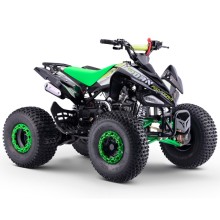 QUAD 110CC AUTOMÁTICO ROAN PANTERA R8 - TECONOLOGIA DEL VALLE