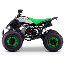 QUAD 110CC AUTOMÁTICO ROAN PANTERA R8 - TECONOLOGIA DEL VALLE