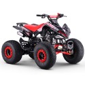 QUAD 110CC AUTOMÁTICO ROAN PANTERA R8 - TECONOLOGIA DEL VALLE