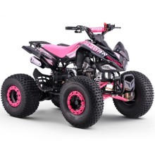 QUAD 110CC AUTOMÁTICO ROAN PANTERA R8 - TECONOLOGIA DEL VALLE