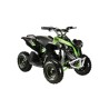 Miniquad electrico MTR piranha
