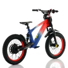 Bicicleta electrica sin pedales 500W Roan RFN Evo Racing 18"