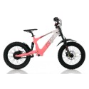 Bicicleta electrica sin pedales 500W Roan RFN Evo Racing 18"