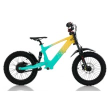 Bicicleta electrica sin pedales 500W Roan RXF Evo Racing 18"