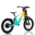 Bicicleta electrica sin pedales 500W Roan RFN Evo Racing 18"