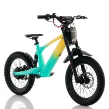 Bicicleta electrica sin pedales 500W Roan RFN Evo Racing 18"