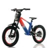 Bicicleta electrica sin pedales 500W Roan RFN Evo Racing 18"