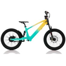 Bicicleta eléctrica sin pedales 750W 20" RFN EVO Racing TECNOLOGIA DEL VALLE