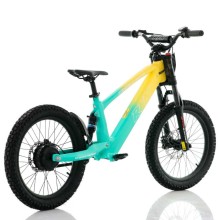 Bicicleta eléctrica sin pedales 750W 20" RFN EVO Racing TECNOLOGIA DEL VALLE