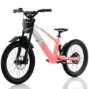Bicicleta eléctrica sin pedales 750W 20" RFN EVO Racing TECNOLOGIA DEL VALLE