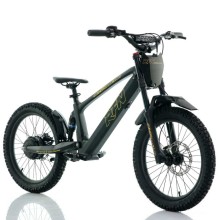 Bicicleta eléctrica sin pedales 750W 20" RFN EVO Racing TECNOLOGIA DEL VALLE