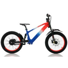Bicicleta eléctrica sin pedales 750W 20" RFN EVO Racing