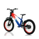 Bicicleta eléctrica sin pedales 750W 20" RFN EVO Racing