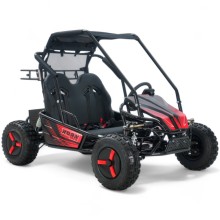 Buggy eléctrico 1500W 60V 20Ah para niño
