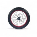 RUEDA COMPLETA BICI EVO 2.5-20" DELANTERA