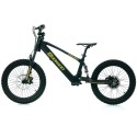 Bicicleta eléctrica Dorado DX20 750W 20"