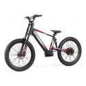 Bicicleta eléctrica REXO RX24 1500W 48V 24/24"