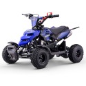 Miniquad ROAN RAPTOR 49cc (R4")