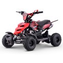 Miniquad ROAN RAPTOR 49cc (R4")