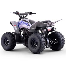 Quad infantil ROAN DAKAR 110cc Automático