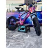 VINILO HOLOGRÁFICO BICICLETA RFN DRAGON BALLZ